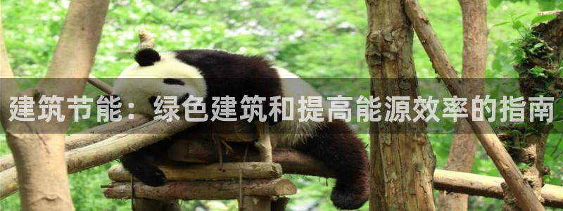 e尊国际客服：建筑节能：绿色建筑和提高能源效率的指南