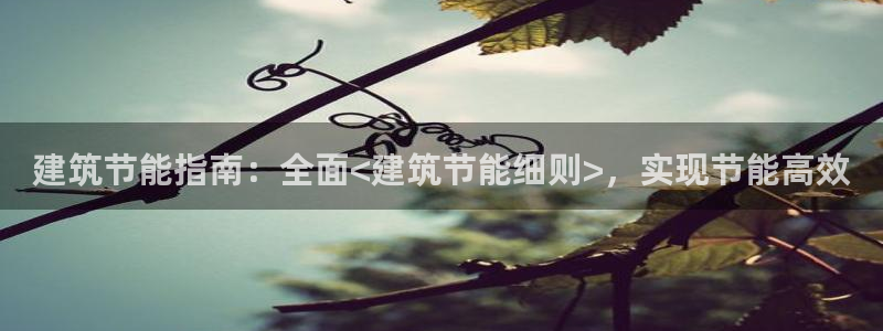 e尊体育：建筑节能指南：全面<建筑节能细则>，实现节能高效