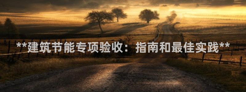 e尊国际app：**建筑节能专项验收：指南和最佳实践**