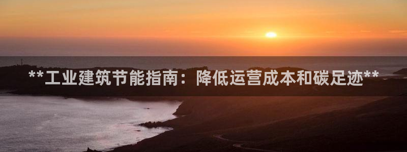 e尊国际官网：**工业建筑节能指南：降低运营成本和碳足迹**