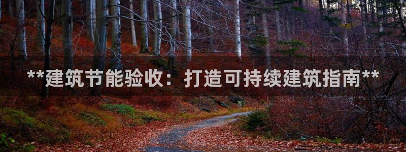 E尊国际网站：**建筑节能验收：打造可持续建筑指南**