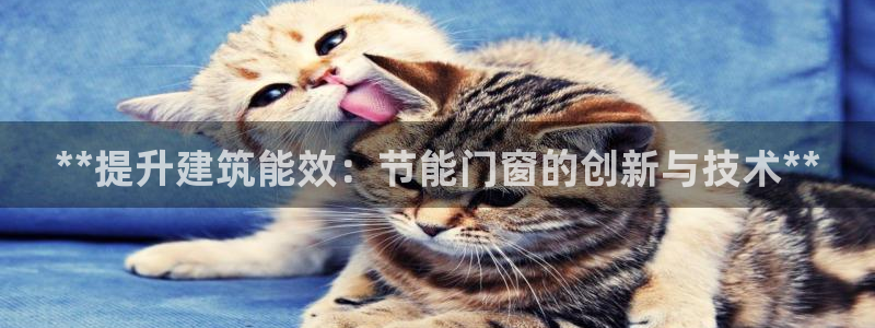 e尊国际-可可计划：**提升建筑能效：节能门窗的创新与技术**