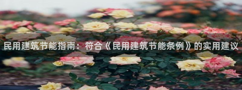 e尊国际官方网站：民用建筑节能指南：符合《民用建筑节能条例》的实用建议