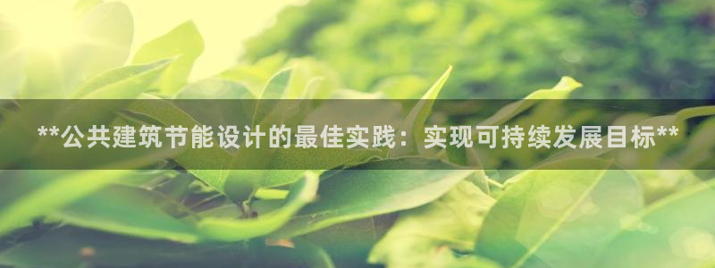 e尊国际的手机登录网站：**公共建筑节能设计的最佳实践：实现可持续发展目标**