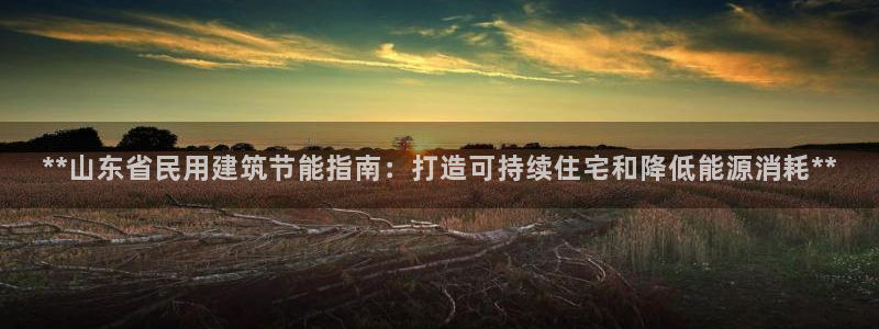 e尊国际客户端：**山东省民用建筑节能指南：打造可持续住宅和降低能源消耗**