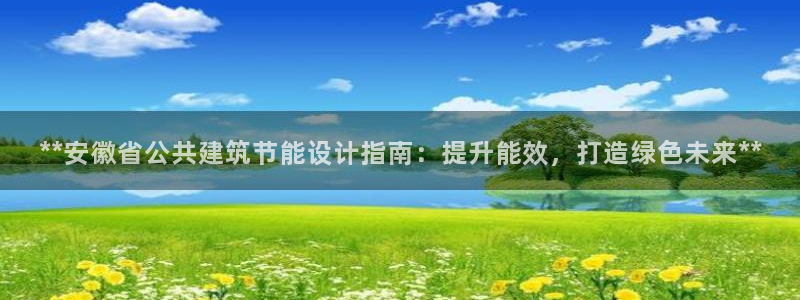 e尊国际娱乐官网下载：**安徽省公共建筑节能设计指南：提升能效，打造绿色未来**