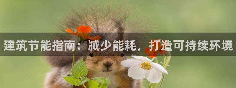 e尊国际-可可计划：建筑节能指南：减少能耗，打造可持续环境