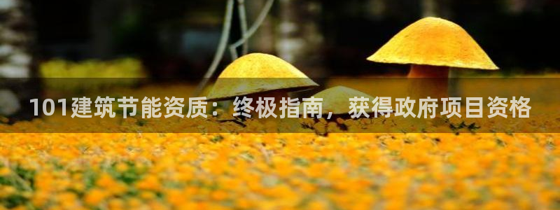 E尊国际网站：101建筑节能资质：终极指南，获得政府项目资格