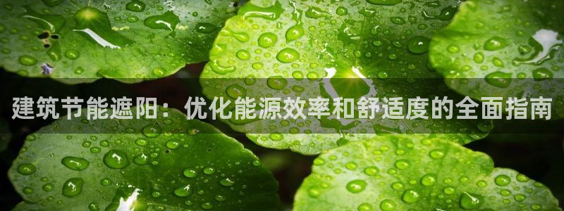 e尊国际app：建筑节能遮阳：优化能源效率和舒适度的全面指南