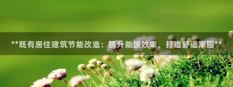 e尊国际7779：**既有居住建筑节能改造：提升能源效率，打造舒适家园**