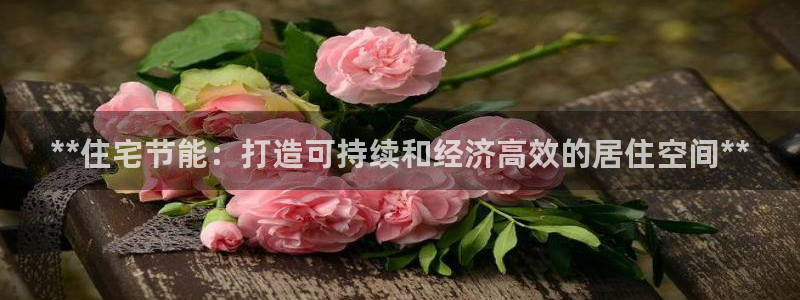 e尊国际的手机登录网站：**住宅节能：打造可持续和经济高效的居住空间**