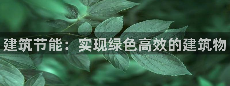 谁知道e尊国际的网址：建筑节能：实现绿色高效的建筑物