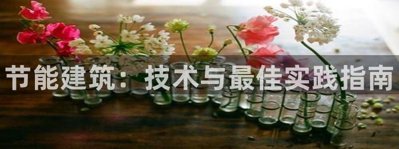 e尊国际网址：节能建筑：技术与最佳实践指南