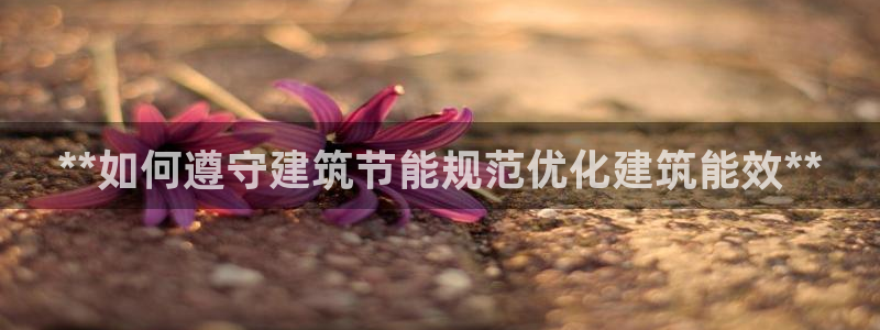 e尊国际官方网站：**如何遵守建筑节能规范优化建筑能效**