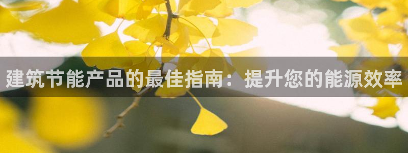 e尊国际可靠吗：建筑节能产品的最佳指南：提升您的能源效率