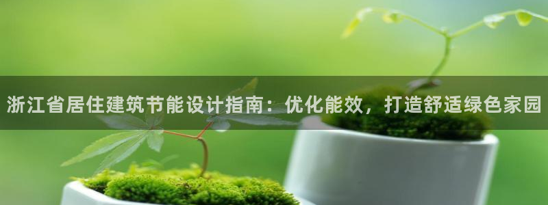 e尊国际-可可计划