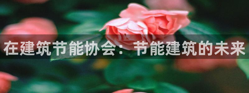 尊亿游戏国际官网：在建筑节能协会：节能建筑的未来