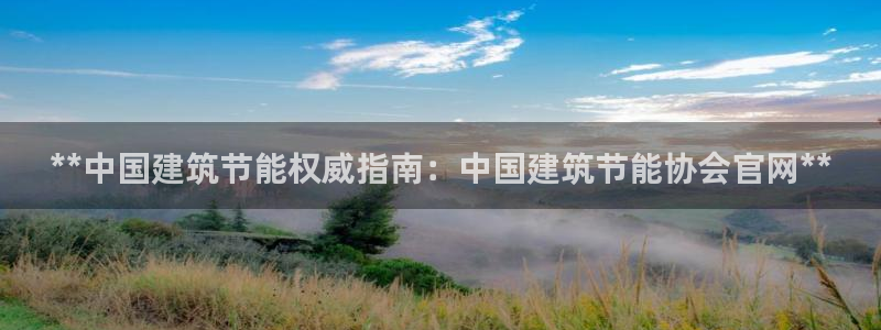 尊亿游戏国际官网：**中国建筑节能权威指南：中国建筑节能协会官网**