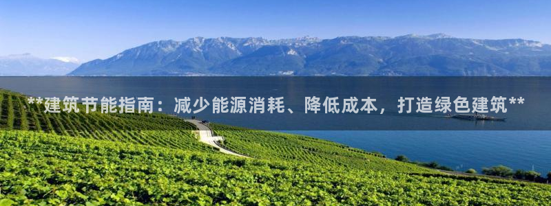 e尊国际平台：**建筑节能指南：减少能源消耗、降低成本，打造绿色建筑**