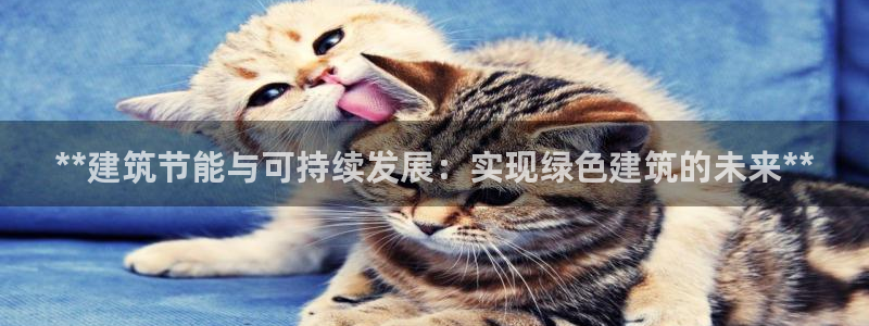 e尊国际-e尊国际官网：**建筑节能与可持续发展：实现绿色建筑的未来**