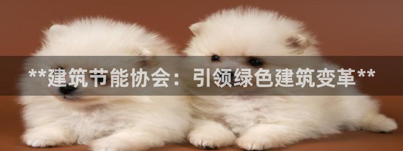 e尊官网：**建筑节能协会：引领绿色建筑变革**