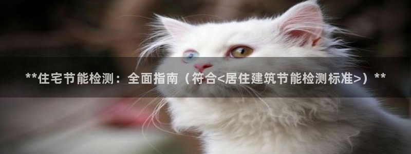 e尊电竞：**住宅节能检测：全面指南（符合<居住建筑节能检测标准>）**