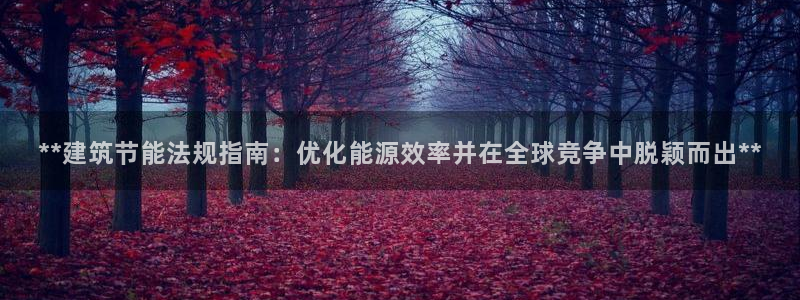 e尊国际-可可计划：**建筑节能法规指南：优化能源效率并在全球竞争中脱颖而出**
