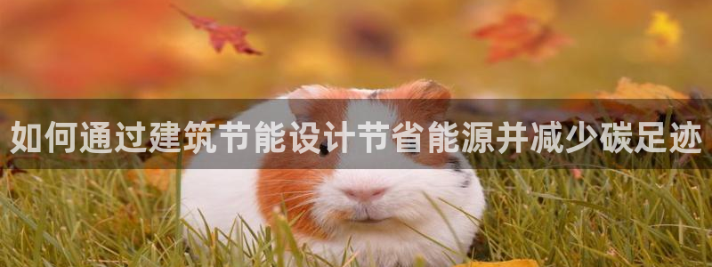 e尊官网：如何通过建筑节能设计节省能源并减少碳足迹