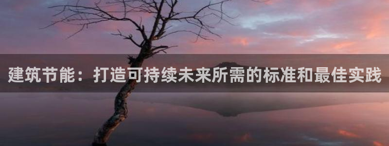 e尊国际网址：建筑节能：打造可持续未来所需的标准和最佳实践