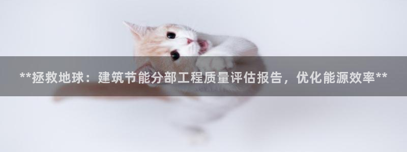e尊国际-可可计划：**拯救地球：建筑节能分部工程质量评估报告，优化能源效率**