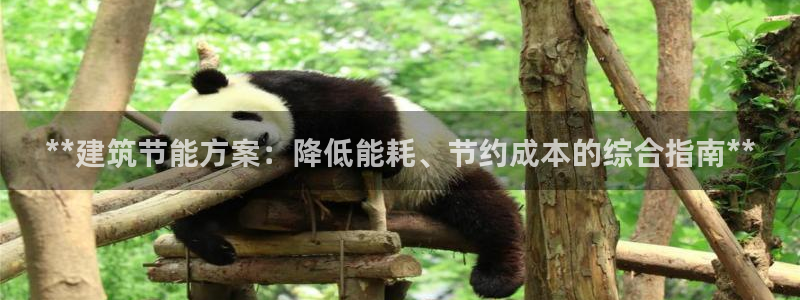 尊亿娱乐国际官网：**建筑节能方案：降低能耗、节约成本的综合指南**