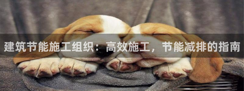 E尊国际网站：建筑节能施工组织：高效施工，节能减排的指南
