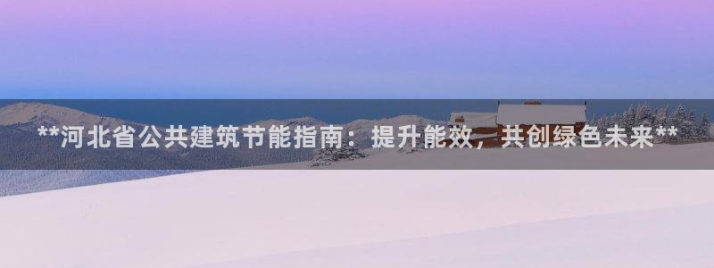 e尊国际是干什么的：**河北省公共建筑节能指南：提升能效，共创绿色未来**