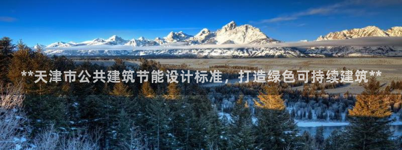 尊亿游戏国际官网：**天津市公共建筑节能设计标准，打造绿色可持续建筑**