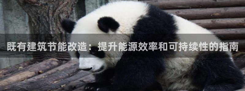 e尊国际平台：既有建筑节能改造：提升能源效率和可持续性的指南