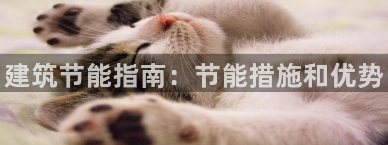 e尊国际娱乐官网地址：建筑节能指南：节能措施和优势