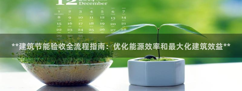 e尊国际网址：**建筑节能验收全流程指南：优化能源效率和最大化建筑效益**