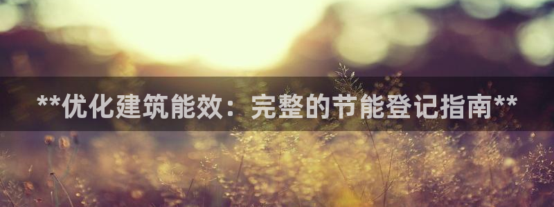 e尊国际官网：**优化建筑能效：完整的节能登记指南**