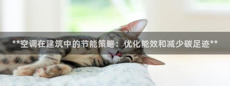 e尊国际网址：**空调在建筑中的节能策略：优化能效和减少碳足迹**