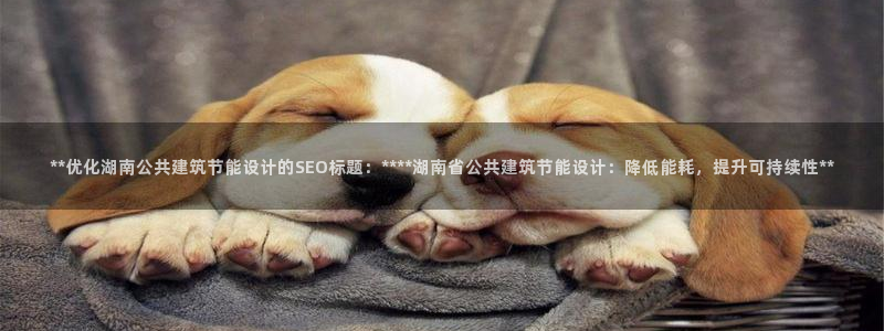 e尊国际可靠吗