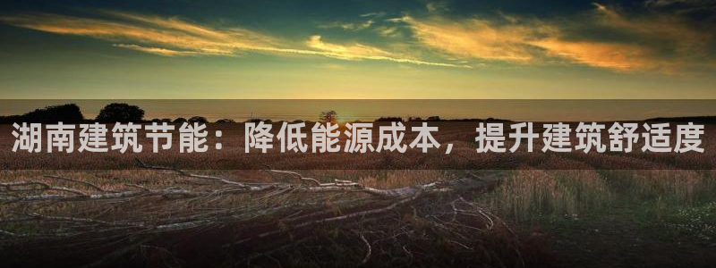 e尊国际客服：湖南建筑节能：降低能源成本，提升建筑舒适度