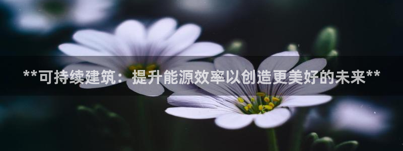 e尊国际的手机登录网站：**可持续建筑：提升能源效率以创造更美好的未来**