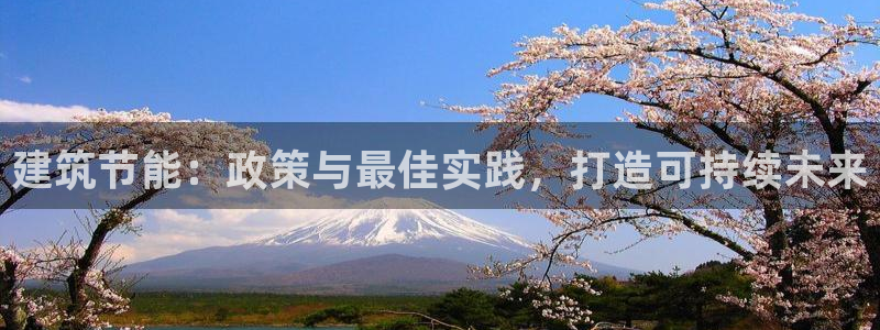 E尊国际网站：建筑节能：政策与最佳实践，打造可持续未来