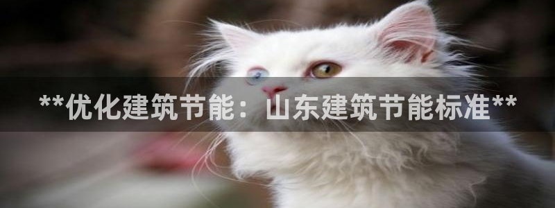 e尊国际-e尊国际官网：**优化建筑节能：山东建筑节能标准**