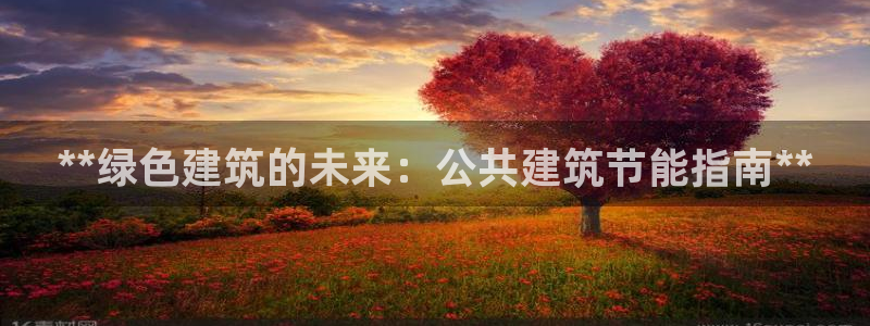 e尊国际客服：**绿色建筑的未来：公共建筑节能指南**