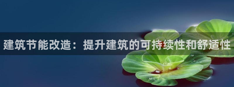E尊国际网站：建筑节能改造：提升建筑的可持续性和舒适性