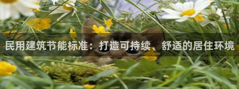e尊国际的手机登录网站：民用建筑节能标准：打造可持续、舒适的居住环境