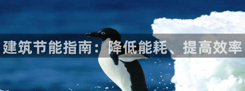 e尊国际-e尊国际官网：建筑节能指南：降低能耗、提高效率