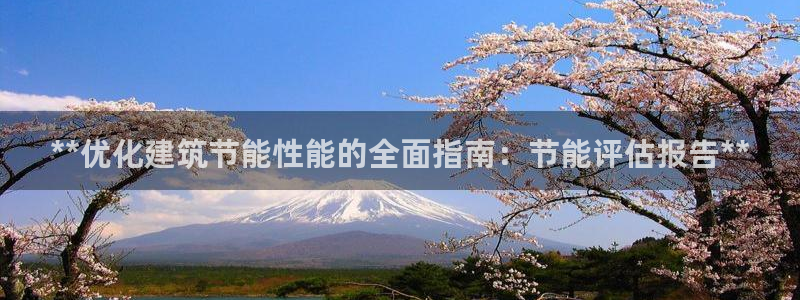 e尊国际客户端下载：**优化建筑节能性能的全面指南：节能评估报告**