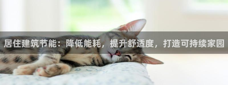 e尊国际的手机登录网站：居住建筑节能：降低能耗，提升舒适度，打造可持续家园